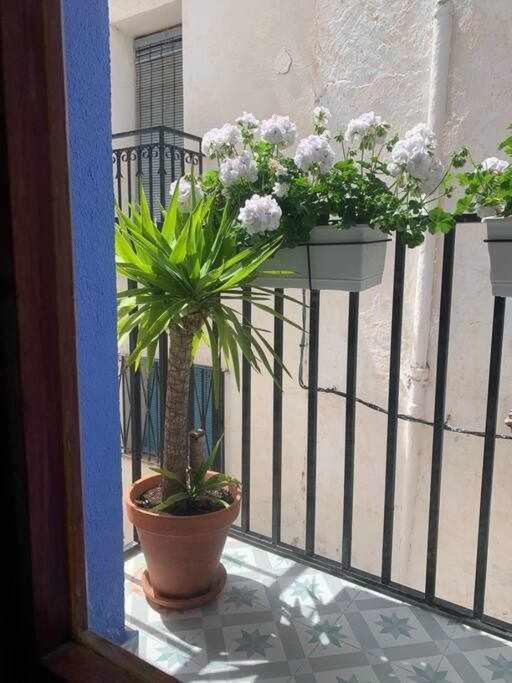 CASA ZIBÁ Casco antiguo WifiAA Apartamento Peñíscola Exterior foto